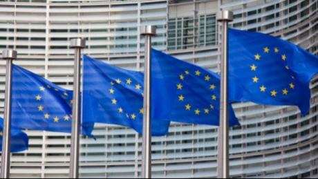 Suedia vrea să atace în instanţă CE, acuzând-o că se supune presiunilor lobby-ului din industriei chimice
