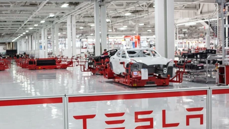 Tesla va livra, în 2022, mașina de 25.000 de dolari