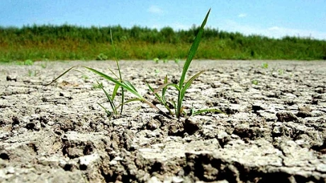 Ministrul Agriculturii, discuţie cu băncile pentru soluţii în vederea acoperirii ratelor în cazul fermierilor afectaţi de secetă